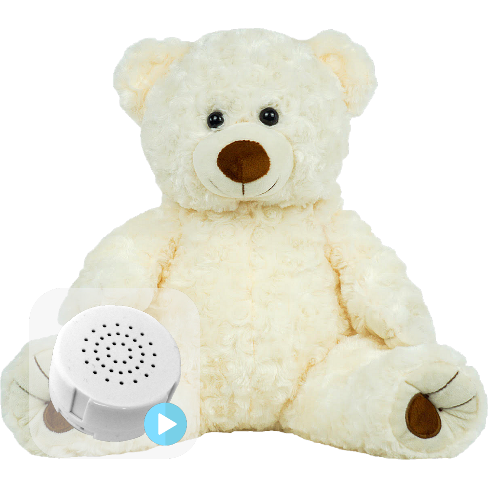 Heartbeat recorder clearance bear